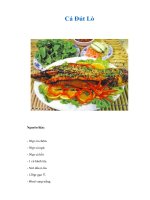 Tài liệu Cá Đút Lò docx