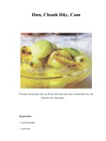 Tài liệu Dưa, Chanh Dây, Cam pdf