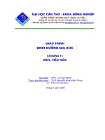 Tài liệu Giáo trình dinh dưỡng gia súc P11 docx