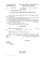 Tài liệu Quyết định phê duyệt điều lệ pdf