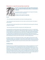 Tài liệu Phòng ngừa rủi ro ngoại hối trong hoạt động của ngân hàng docx