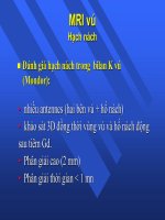 Tài liệu MRI chỉ định chụp vú_Phần 3 docx