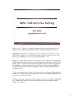 Tài liệu Basic UNIX and Linux Auditing pptx