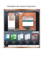 Tài liệu WindowBlinds 7 Final: “bậc thầy” làm đẹp Windows pptx