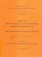Luận án phó tiến sỹ Nghiên cứu phản ứng giảm cấp cao su latex trong tự nhiên bằng hệ phenilhidrazin - FeCl2 và một số phản ứng biền hình tính cao su giảm cấp
