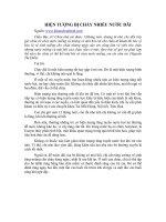 Tài liệu HIỆN TƯỢNG BỆNH CHÀY NHIỀU NƯỚC DÃI ppt