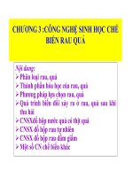 Tài liệu Công nghệ sinh học chế biến rau quả_Chương 6 pdf