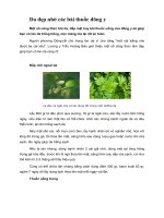 Tài liệu Da đẹp nhờ các bài thuốc đông y pptx