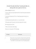 Tài liệu Cấp lại Giấy phép thành lập Văn phòng đại diện của thương nhân nước ngoài tại Việt Nam doc