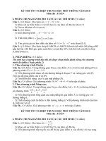 Tài liệu KỲ THI TỐT NGHIỆP TRUNG HỌC PHỔ THÔNG NĂM 2010 - MÔN THI: TOÁN ppt