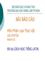 Tài liệu Báo cáo đề tài: Cách đọc tiếng Latin tên thực vật doc