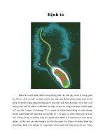 Tài liệu Bệnh tả pdf