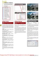 Tài liệu The Adobe Photoshop Cs4 Dictionary: The a to Z Desktop Reference of Photoshop- P2 doc