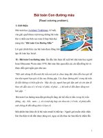 BAI TOAN CON DUONG MAU 