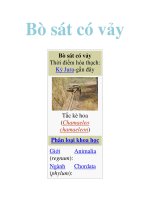 Tài liệu Bò sát có vảy ppt