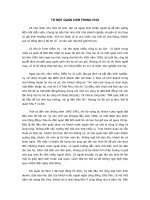 Tài liệu TỪ MỘT QUÁN CƠM TRONG CHỢ docx