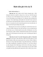 Tài liệu Bệnh nấm ghẻ trên cây ổi doc