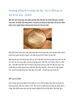 Tài liệu Khoảng trống thị trường nội địa - Kỳ 2: Những cơ hội bị bỏ qua pdf