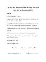 Tài liệu Cấp giấy phép tham quan du lịch cho người nước ngoài nhập cảnh tại cửa khẩu cảng biển pptx