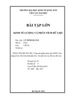 BÀI tập lớn KINH tế LƯỢNG và PHÂN TÍCH dữ LIỆUTổng sản phẩm quốc nội (GDP), tiêu dùng (cm), chi tiêu chính phủ (g), lãi suất cho vay (r) của hà lan 