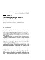 Tài liệu Sổ tay của các mạng không dây và điện toán di động P20 doc