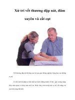 Tài liệu Xử trí vết thương dập nát, đâm xuyên và cắt cụt pdf