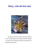 Tài liệu Đông y chữa đái tháo nhạt doc