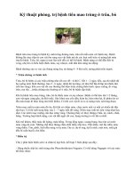 Tài liệu Kỹ thuật phòng, trị bệnh tiên mao trùng ở trâu, bò docx