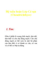 Tài liệu Hệ tuần hoàn Lớp Cá sụn (Chondrichthyes) doc