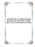 Tài liệu ẢNH HƯỞNG CỦA BIẾN ĐỔI KHÍ HẬU ĐỐI VỚI TỈNH THỪA THIÊN HUẾ VÀ CÁC GIẢI PHÁP ỨNG PHÓ ppt