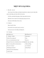 Tài liệu Giáo án 5 tuổi - MỘT SỐ LOẠI HOA doc