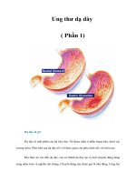 Tài liệu Ung thư dạ dày ( Phần 1) pdf
