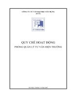 Tài liệu QUY CHẾ HOẠT ĐỘNG_ PHÒNG QUẢN LÝ TƯ VẤN HIỆN TRƯỜNG pdf
