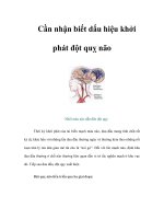 Tài liệu Cần nhận biết dấu hiệu khởi phát đột quỵ não pptx