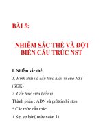 Tài liệu NST và đột biến cấu trúc NST ppt