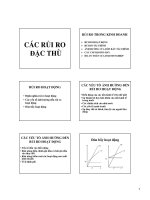 Tài liệu Bài giảng quản trị rủi ro.Chương X ppt