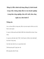 Tài liệu Đăng ký điều chỉnh nội dung đăng ký kinh doanh trong Giấy chứng nhận đầu tư của doanh nghiệp trong khu công nghiệp, khu chế xuất, khu công nghệ cao, khu kinh tế pdf