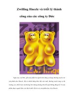 Tài liệu Zwilling Hnecle và triết lý thành công của các công ty Đức doc