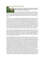 Tài liệu Đã có thuốc trị bệnh hồ tiêu chết nhanh doc