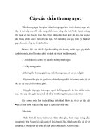 Tài liệu Giáo trình Cấp cứu chấn thương ngực docx