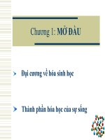 Tài liệu Chương 1: MỞ ĐẦU docx