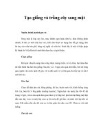 Tài liệu Tạo giống và trồng cây song mật pptx