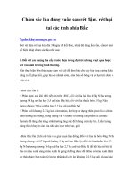 Tài liệu Chăm sóc lúa đông xuân sau rét đậm, rét hại tại các tỉnh phía Bắc ppt