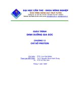 Tài liệu Giáo trình dinh dưỡng gia súc P12 pptx