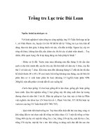 Tài liệu Trồng tre Lục trúc Đài Loan pdf