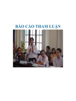 Tài liệu BÁO CÁO THAM LUẬN pdf