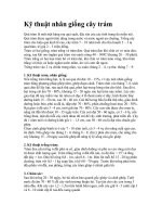 Tài liệu Kỹ thuật nhân giống cây trám docx