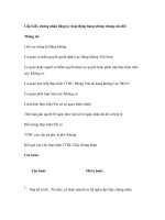 Tài liệu Cấp Giấy chứng nhận đăng ký hoạt động hàng không chung sửa đổi doc