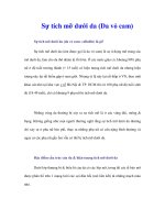 Tài liệu Sự tích mỡ dưới da (Da vỏ cam) ppt