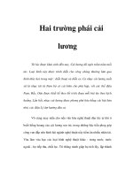 Tài liệu Hai trường phái cải lương ppt